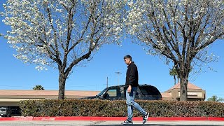 Lakad Lakad at Paaraw  Callery Pear Tree [upl. by Tammany424]