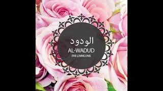 AL Waduud 1 [upl. by Chuck59]