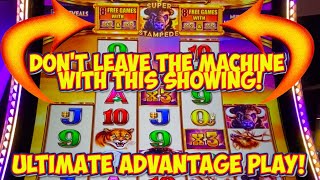 So Easy Advantage Play on Buffalo Ascension Slot Machine 4k [upl. by Nichols224]