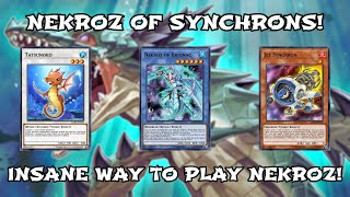 YuGiOh Duel Links  NEKROZ OF SYNCHRONS THE BEST RITUAL DECK amp THE BEST SYNCHRO DECK COMBINED [upl. by Milburt]