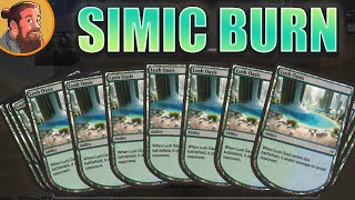 Burn but Simic  30 Budget Magic  Standard [upl. by Natsreik]