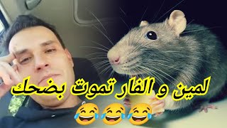 Lamine khelifa  لمين و الفار تموت بضحك 😂🇺🇸😂 livehabacha817 [upl. by Lleuqram472]