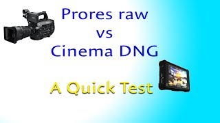 Prores Raw vs CDNG  A Quick Test [upl. by Rodrich366]