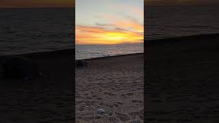 View from West Bexington Beach Dorset [upl. by Wilber]