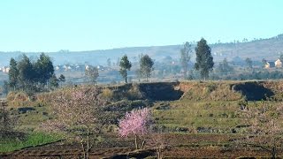 MyWay Madagascar 2014 12 AntsirabeAntananarivoAirport [upl. by Denby]