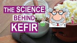 Health Benefits of KEFIR What does the SCIENCE say [upl. by Anastase]