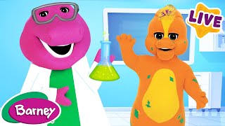 🧠 Learning More Every Day  Brain Break for Kids  Full Episodes Live  Barney the Dinosaur [upl. by Euk]