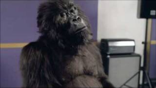 Cadburys Gorilla 60 second commercial [upl. by Eilsek493]