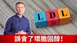 膽固醇5”壞”膽固醇LDL，消炎與LDL過高原因柏格醫生 dr berg [upl. by Aimek]