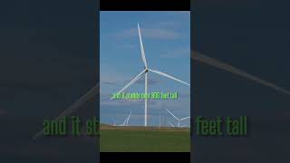 The world biggest Wind Turbine is insane dyk facts fyp [upl. by Assilim434]