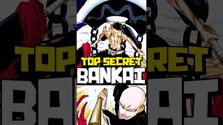 This Character SHOULDNT Have A Bankai in BLEACH IKKAKU MADARAME Explained [upl. by Sesom]