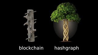 What is Hashgraph and how will it replace The Blockchain [upl. by Hasin]