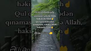 Əlhəmdulillah🤲📿🤲 qısa1söz DiniVideolar KonMa3AllahOfficial [upl. by Robb]