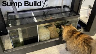 Building a DIY Sump [upl. by Ahsitneuq775]