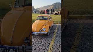 O Charme do VW Fusca 1975 Laranja Outono [upl. by Mogerly]