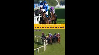 What a finish in the WAYI QIPCO Champion Stakes [upl. by Anitnoc]