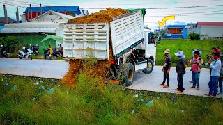 Start a New Project Landfill on Flooded Area by Bulldozer KOMATSU D31P amp 5Ton Truck Pushing Soils [upl. by Eilatam]