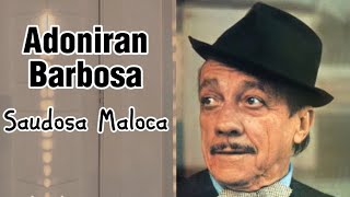 ADONIRAN BARBOSA  Saudosa Maloca com letra [upl. by Ylelhsa440]