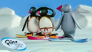 Pingu Has Fun with his Friends 🐧  Pingu  Official Channel  Cartoons For Kids [upl. by Aikemat]