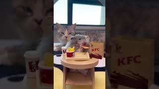 Tiny Hamster’s Big Feast KFC on a Tiny Chair [upl. by Brand]