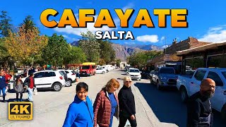 CAFAYATE🔸La CUNA de los VINOS SALTEÑOS  ARGENTINA 🇦🇷 [upl. by Dominy]