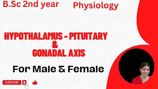 HypothalamusPituitary And Gonadal Axis BSc 2nd YearCore VI Controlling and coordinating System [upl. by Aivonas]