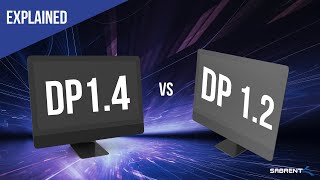 DisplayPort 12 vs DisplayPort 14  Explained [upl. by Ideih]