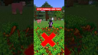 Crop Farm Minecraft minecraft shorts [upl. by Blynn]