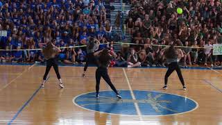 Dreyfoos 2018 Sophomore Pep Rally Dance [upl. by Hannie]