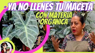 🤔La impactante verdad acerca de llenar de materia orgánica tus macetas [upl. by Gustavus]