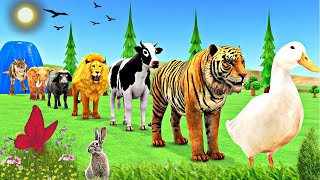 Long Slide Game With Elephant Gorilla Buffalo Hippopotamus Tiger  3d Animal Game  Funny 3d Animals [upl. by Aileen]