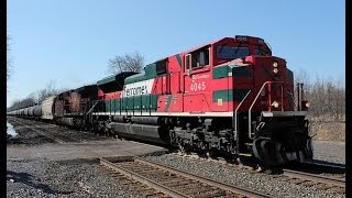 ATSF BNSF CP CREX FXE NS and UP on the CSX Rochester Sub 41914 [upl. by Mauri]