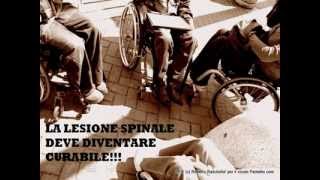 La Lesione Spinale deve diventare curabile  video wmv [upl. by Ayhay]