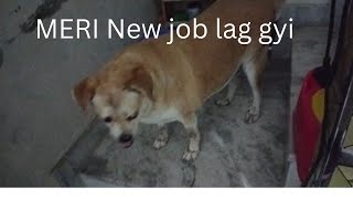 POLU US DIN SE BOHOT JADA DAR GEYA HAI  OR US DIN SE MERI NEW DUTY SHURU HO GYI HAI😆🐕💯✅youtube [upl. by Silyhp283]