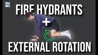 Master The Fire Hydrant Exercise With External Rotation For Maximum Stability And Strength [upl. by Anelhtak81]