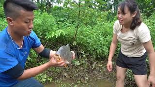 Video Fishing Technology  Cleverly use the pump to suck water in the wild lake Catch Many fish [upl. by Slocum]