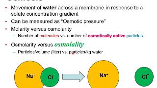 08  BIOL 330  Chapter 5a  Membrane Dynamics Part 1 [upl. by Seugram790]