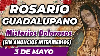 ROSARIO GUADALUPANO 3 DE MAYO SIN ANUNCIOS INTERMEDIOS 🌷 Misterios Dolorosos 🙏 [upl. by Arluene517]