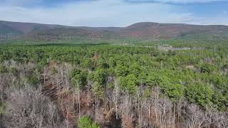 FOR SALE Building Acreage in Whispering Pines Subdivision  Ouachita National Forest [upl. by Earehc]