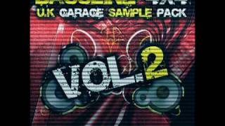 DUBWISE BASSLINE 4X4 SAMPLES PACK VOL 2 [upl. by Anyal332]