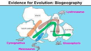 The Evolution of Populations Natural Selection Genetic Drift and Gene Flow [upl. by Brear153]