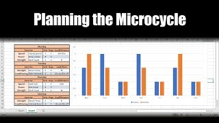 Planning the Microcycle for the Physical Preparation Training of Athletes  Programming [upl. by Hnilym]