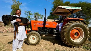 Full Bakra Karahi Cooking in Big Pot  Village Cooking  Village Life  Village Food Secrets [upl. by Ahsetel]