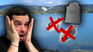 What Happened to the fish 😱  Lake Zajarki  Toms CineVlog  CineCarp TV [upl. by Bonne]