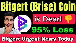 Bitgert Brise Coin is Dead ❌⛔  Brise coin urgent news today  Bitgert Coin Price Prediction [upl. by Damarra]