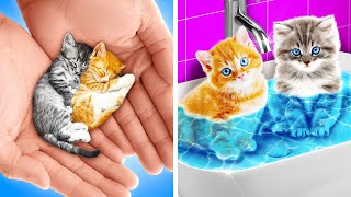 SAVE THESE TINY KITTENS  Useful DIY Ideas and Hacks for Smart Pet Owners Gadgets by 123 GO [upl. by Winthrop117]