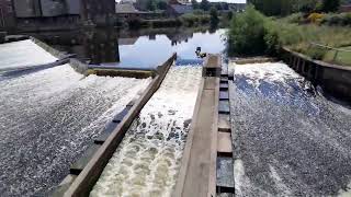 Castleford Weir Fish Pass River Aire [upl. by Acul]