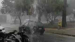 MUITA CHUVA EM IRECÊ BAHIA 141024 [upl. by Ibrad872]