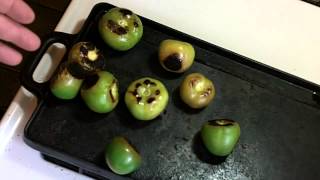 How to make Fresh Homemade Tomatillo Salsa [upl. by Lednew]