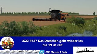 LS22 427 Das Dreschen geht wieder los die 19 ist reif NF Marsch [upl. by Ronal]